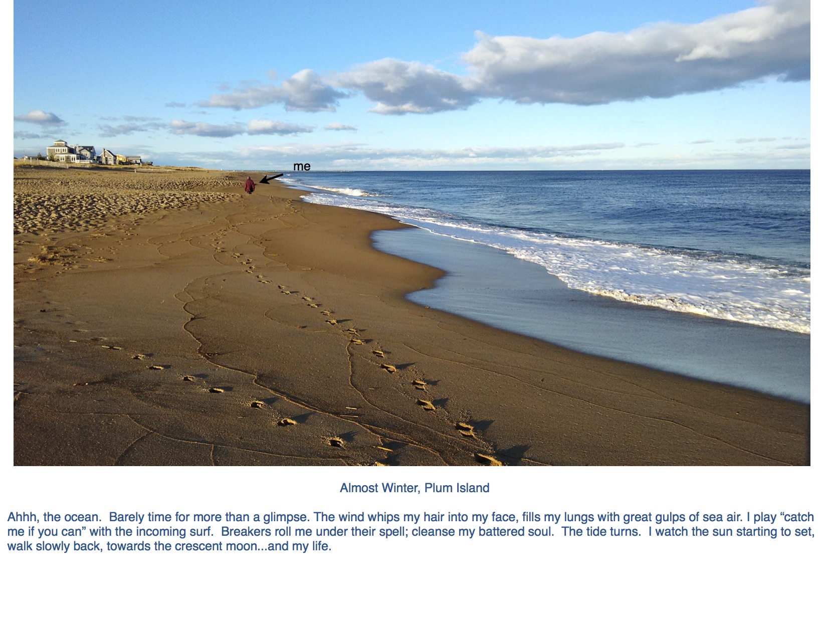 Ahhh, the ocean. Plum island 12:15:15