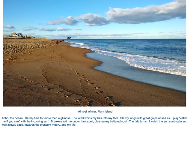 Ahhh, the ocean. Plum island 12:15:15